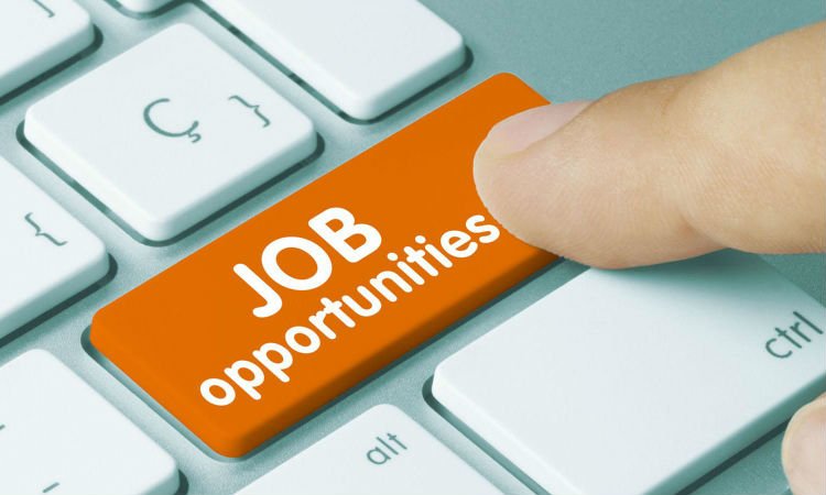 Job Opportunities
